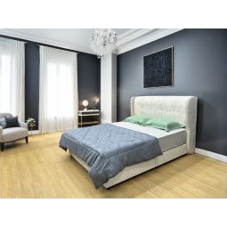 Queen Size Bed with Mattress (QBN75)